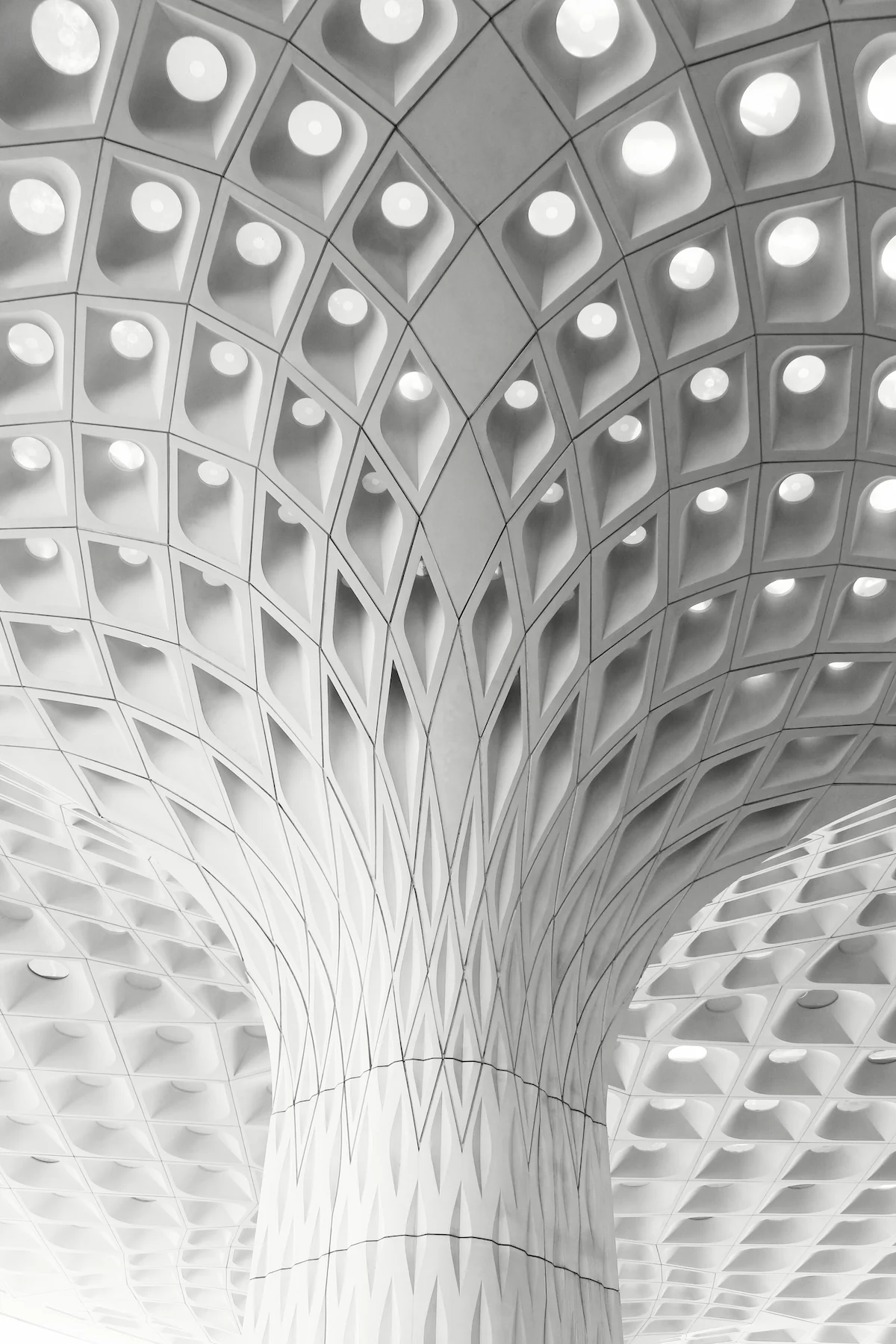 Fachada institucional representando el Derecho Público